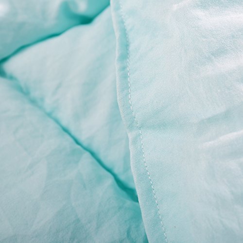  EVOLIVE All Season Pre Washed Soft Microfiber White Goose Down Alternative Comforter With Box Stitching (Mint, Full/Queen)