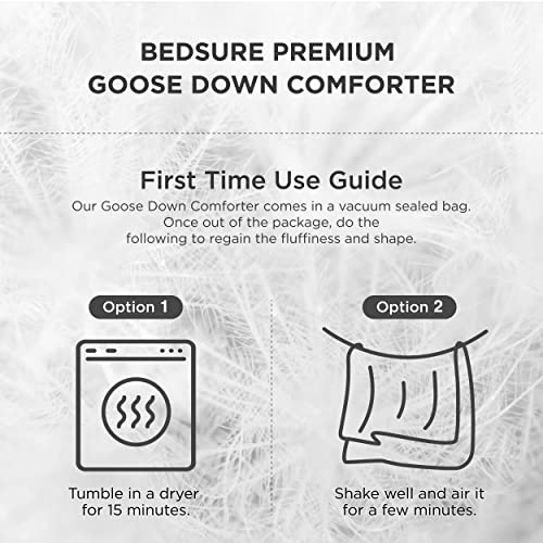  Goose Down Comforter Queen Size - Feather Down Comforter Queen For All Seasons, Extra Fluffy Queen Duvet Insert, 8 Corner Tabs, Machine Washable (90x90 Inches, 53 Oz)