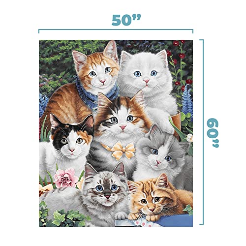 Dawhud Direct Kitten Fleece Blanket For Bed, 50" X 60" Cute Fleece Throw Blanket For Girls, Women, Men And Kids - Super Soft Plush Cat Blanket Throw Plush Blanket For Cat Lovers