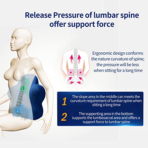  Lumbar Support Pillow For Office Chair, Back Support Pillow For Car, Computer, Gaming Chair, Recliner, Memory Foam Back Cushion For Pain Relief, Improve Posture, Adjustable Straps (Dark Blue)