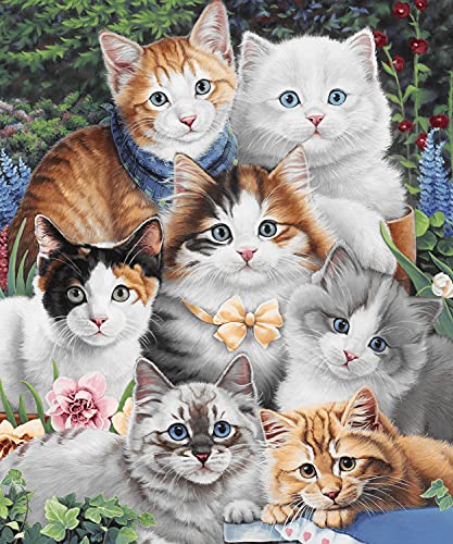  Dawhud Direct Kitten Fleece Blanket For Bed, 50" X 60" Cute Fleece Throw Blanket For Girls, Women, Men And Kids - Super Soft Plush Cat Blanket Throw Plush Blanket For Cat Lovers