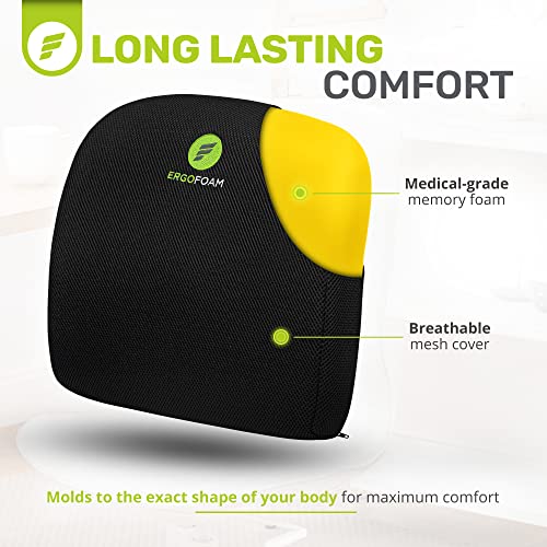  ErgoFoam Lumbar Support Pillow For Chair - Premium Breathable Mesh Back Support For Office Chair - Most Comfortable Lumbar Cushion In The World For Back Pain