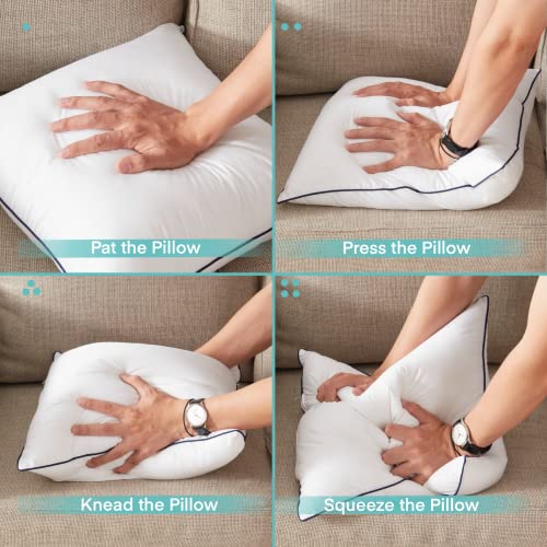  Ichrysania 18 X 18 Pillow Inserts Set Of 2 With 100% Cotton Cover Couch Pillows Bed Pillows Throw 18 Pillow Inserts Sofa Chair Pillows Square Decorative Pillows