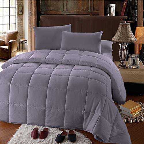  Plush Down Alternative Comforter Twin - Gray Duvet Insert With Corner Tabs - All-Season Hypoallergenic Comforter Reversible - 100% Plush Down Alternative Fill - Twin XL, Gray
