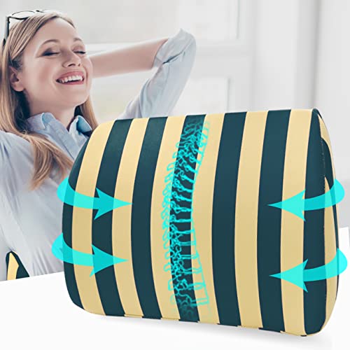  Logicfox Lumbar Support Back Pillow For Office Chair, Memory Foam Back Pillows For Improve Sitting Posture & Back Pain Relief, Striped Lumbar Support Pillow For Car, Chair, Gaming, Recliner (Blue)