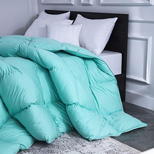  YaQunie Goose Down Comforter Queen Size All Season Down Duvet Insert Cotton Shell Soft Aqua Bed Comforter With 8 Coner Tabs 90x90Inches