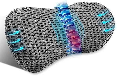  Kasney Lumbar Support Pillow Ergonomic Memory Foam Lumbar Pillow, Relieve Back Pain, CMFY Breathable & Detachable & Washable, Perfect Back Pillow For Office Chairs, Car Seats, Beds (Blue)
