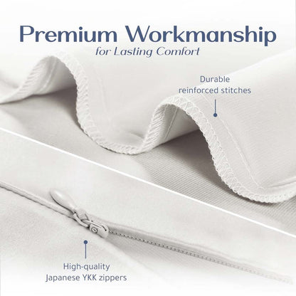  RENESSY Organic Silk Pillowcase - 100% Organic Mulberry Silk, 22 Momme, Naturally Hypoallergenic, Promotes Hair And Skin Health, 1 Piece (Queen Size 20x30 Inches, Natural Silk Off-White)