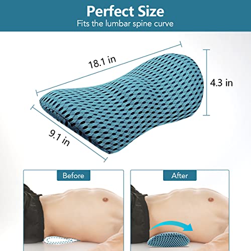  Kasney Lumbar Support Pillow Ergonomic Memory Foam Lumbar Pillow, Relieve Back Pain, CMFY Breathable & Detachable & Washable, Perfect Back Pillow For Office Chairs, Car Seats, Beds (Blue)
