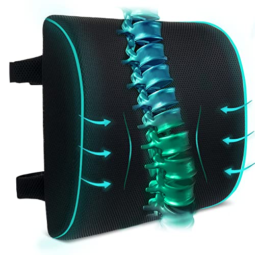  Mr. Pen- Lumbar Support Pillow, Memory Foam Lumbar Pillow, Car Lumbar Support, Office Chair Back Cushion, Chair Pillow, Desk Chair Back Support