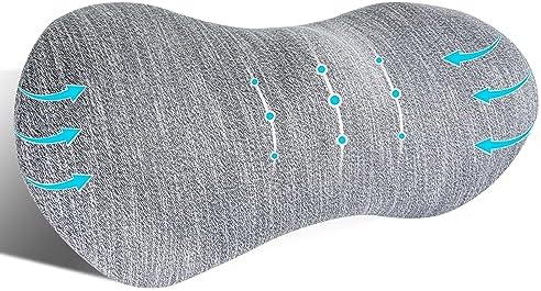  Kasney Lumbar Support Pillow Ergonomic Memory Foam Lumbar Pillow, Relieve Back Pain, CMFY Breathable & Detachable & Washable, Perfect Back Pillow For Office Chairs, Car Seats, Beds (Blue)