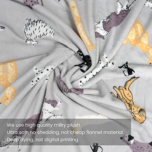  Cozy Bliss Dachshunds Throw Blanket French Bulldog Print Throw Border Collie Dog Print Blanket Ultra Soft Warm Lightweight Plush Blanket For Dog Lovers, Sitting Poodle 50"x60"