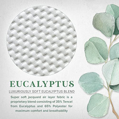  TYLINEN Queen Tencel Eucalyptus Mattress Protector - Waterproof Breathable Cooling Cover Protects Against Moisture, Spills, Stains - Noiseless, Machine Washable, Fits 16 Inch Bed (Queen)