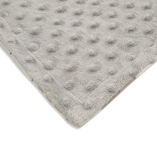  Baby Blanket Soft Minky With Double Layer Dotted Backing, Lovely Animals Printed 30 X 40 Inch Receiving Blanket