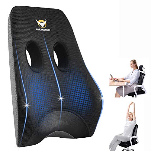  OVEYNERSIN Lumbar Pillow, Comfortable Lumbar Support Pillow, Office Car Seat Cushion, Memory Foam Back Cushion With Breathable Mesh For Relieves Back, Hip, Tailbone, Sciatica Pain