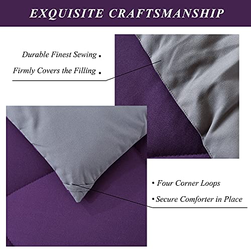  ELNIDO QUEEN 3 Pieces Comforter Set (Full, Purple & Grey) - 1 Reversible Down Alternative Comforter With 2 Pillow Shams - Soft Lightweight Duvet Insert | 82x86 Inch