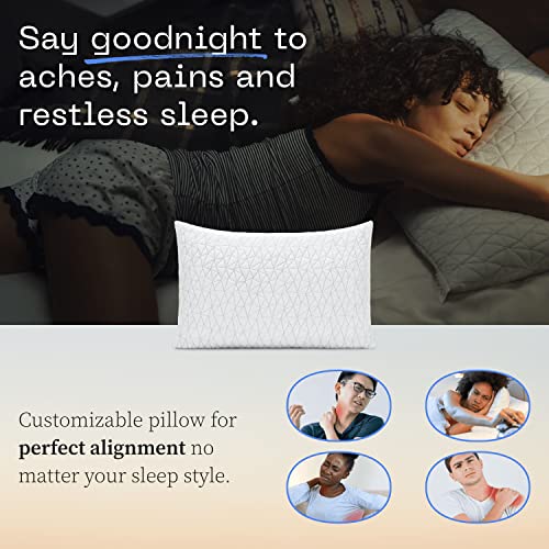  - 2 Pack Original Loft Pillows And 2 Pack Lulltra Zippered Pillow Protector Covers Bundle (Queen)