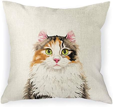 WIRESTER Sofa Pillow Case, Decorative Throw Pillow Cushion Cover For Home Office 18 X 18 Inch, Cute Tuxedo Cat