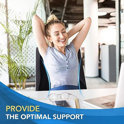  Teemour Lumbar Support Pillow For Office Chair Car Lumbar Pillow Lower Back Pain Relief Memory Foam Car Back Support For Driving Fatigue Back Pillow Design For Gaming Chair, Couch, Recliner 1 Pack