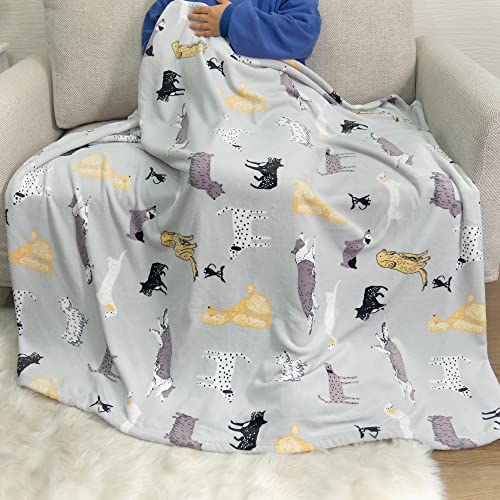  Cozy Bliss Dachshunds Throw Blanket French Bulldog Print Throw Border Collie Dog Print Blanket Ultra Soft Warm Lightweight Plush Blanket For Dog Lovers, Sitting Poodle 50"x60"