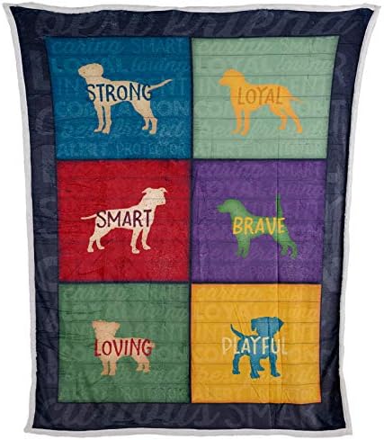  Premium Flannel And Sherpa Blanket Double-Layer -Inspirational Gift For Friends, Family - Birthday, Get Well -Comforting Super Soft Flannel Blanket (60x80) -Art By Jennifer Pugh (Trust In The Lord)