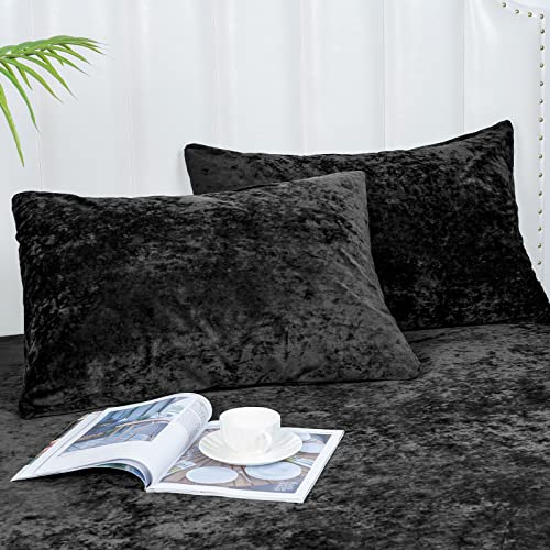  PHF True Velvet Pillowcases King Size, 2 Pack Soft Color Gradient Pillow Shams Covers With Envelope Closure, Luxury Cozy Decorative Pillow Cases, 20" X 36", No Filling, Black
