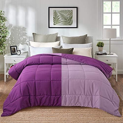  All Season Pre Washed Soft Microfiber White Goose Down Alternative Comforter With Box Stitching (Navy/Light Blue, Twin)