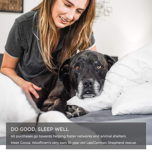  Modern Standard/Queen Bamboo Pillowcases | 100% Pure Viscose | Set Of 2 | Breathtakingly Soft