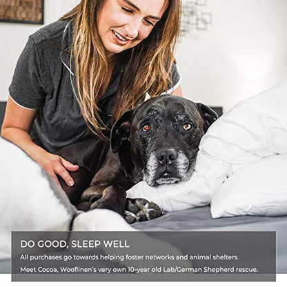  Modern Standard/Queen Bamboo Pillowcases | 100% Pure Viscose | Set Of 2 | Breathtakingly Soft