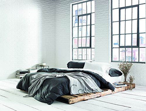Calvin Klein Modern Cotton Body Solid Set Of 2 Pillowcases, Standard Size, Cotton Modal 170 GSM (White)