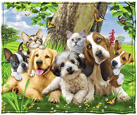  Wonder Kitten Fleece Blanket For Bed, 50" X 60" Cat Fleece Throw Blanket For Women, Men And Kids - Super Soft Plush Kitten Blanket Throw Plush Blanket For Cat Lovers