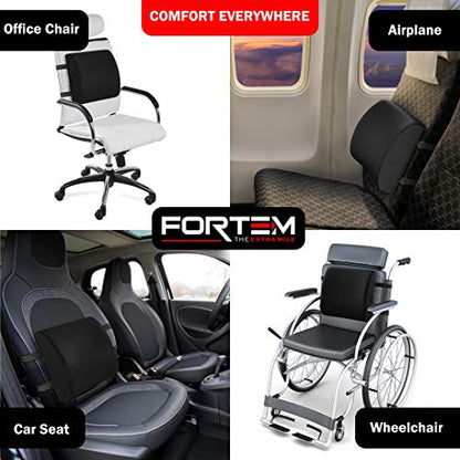  FORTEM Lumbar Support Office Chair, Lumbar Support Pillow For Car, Office Chair Back Support, Lumbar Pillow For Desk Chair, Memory Foam Back Cushion, Washable Cover (Mesh, Black)