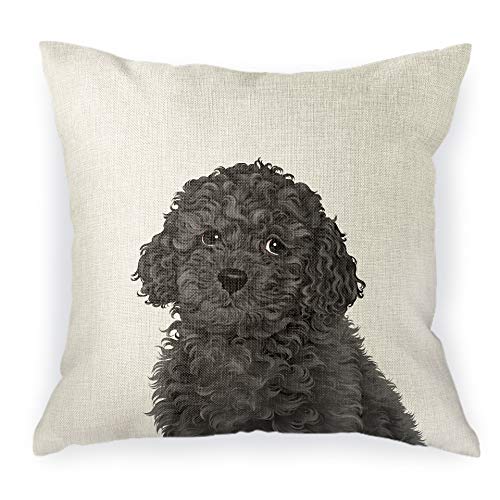  WIRESTER Sofa Pillow Case, Decorative Throw Pillow Cushion Cover For Home Office 18 X 18 Inch, Cute Grey Toy Poodle