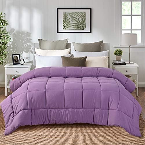  EVOLIVE All Season Pre Washed Soft Microfiber White Goose Down Alternative Comforter With Box Stitching (Mint, Full/Queen)