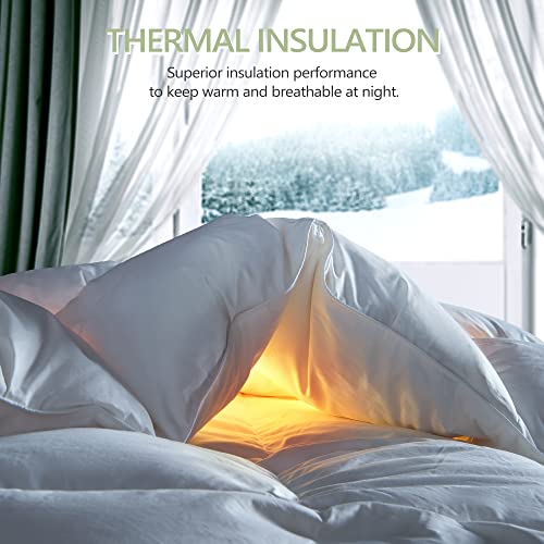  Premium Goose Down Comforter Queen Size, Thick Goose Feather Down Comforter For Winter With Ultra-Soft Cotton Cover, 44 Oz Fluffy Down Duvet Insert With Storage Bag (90x90)