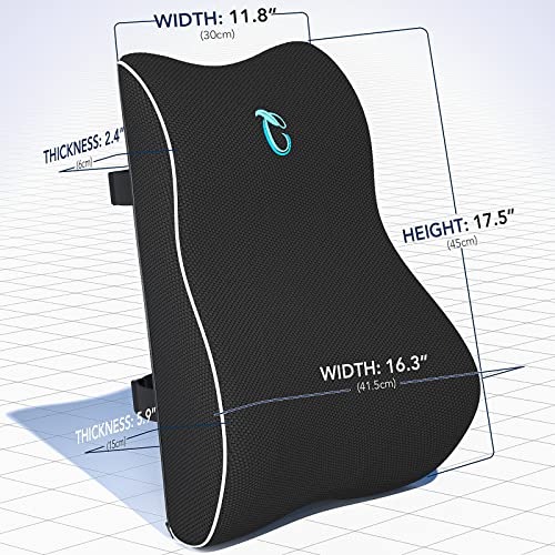  Lumbar Support Pillow For Office Chair, Memory Foam Back Cushion With Updated 3D Mesh Cover, Car Seat Back Pillows For Back Pain Relief, Ideal Back Pillow For Computer/Desk Chair, Car Seat, Etc.