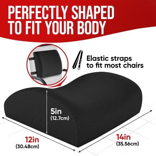  FORTEM Lumbar Support Office Chair, Lumbar Support Pillow For Car, Office Chair Back Support, Lumbar Pillow For Desk Chair, Memory Foam Back Cushion, Washable Cover (Mesh, Black)