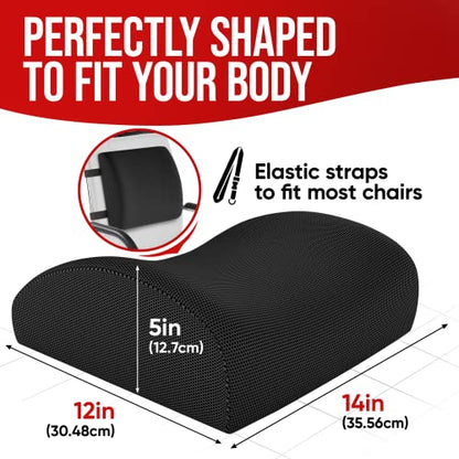  FORTEM Lumbar Support Office Chair, Lumbar Support Pillow For Car, Office Chair Back Support, Lumbar Pillow For Desk Chair, Memory Foam Back Cushion, Washable Cover (Mesh, Black)