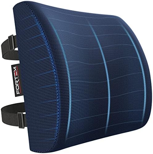  FORTEM Lumbar Support Office Chair, Lumbar Support Pillow For Car, Office Chair Back Support, Lumbar Pillow For Desk Chair, Memory Foam Back Cushion, Washable Cover (Mesh, Black)