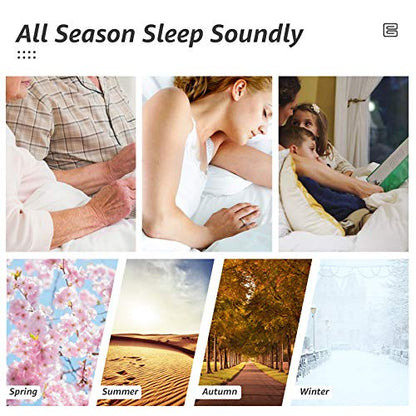  All Season Queen Size Bed Comforter - Cooling Down Alternative Quilted Duvet Insert With Corner Tabs - Winter Warm - Machine Washable - Dark Grey