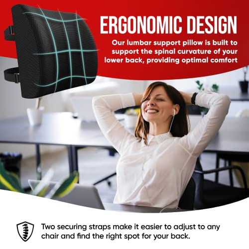  FORTEM Lumbar Support Office Chair, Lumbar Support Pillow For Car, Office Chair Back Support, Lumbar Pillow For Desk Chair, Memory Foam Back Cushion, Washable Cover (Mesh, Black)