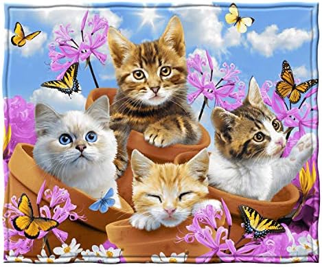  Wonder Kitten Fleece Blanket For Bed, 50" X 60" Cat Fleece Throw Blanket For Women, Men And Kids - Super Soft Plush Kitten Blanket Throw Plush Blanket For Cat Lovers