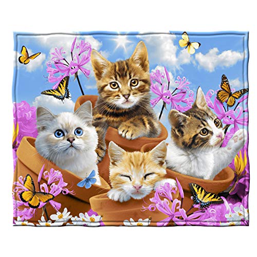  Wonder Kitten Fleece Blanket For Bed, 50" X 60" Cat Fleece Throw Blanket For Women, Men And Kids - Super Soft Plush Kitten Blanket Throw Plush Blanket For Cat Lovers