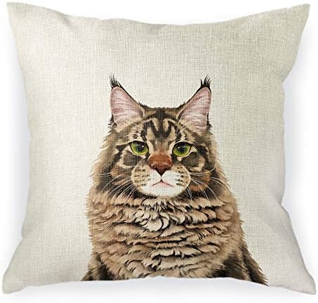  WIRESTER Sofa Pillow Case, Decorative Throw Pillow Cushion Cover For Home Office 18 X 18 Inch, Cute Tuxedo Cat