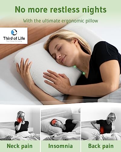 Bamboo Pillow NuMOON Aloe Vera | Memory Foam With Support For Pain Relief | Skin Care Pillowcase | Back And Side Sleepers Pillow | Cervical Pillow Against Shoulder & Neck Pain - Designed In Germany