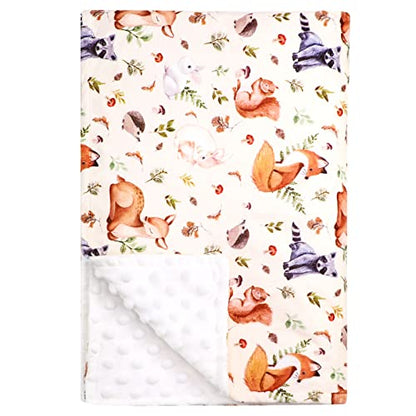  Minky Baby Blanket, Super Soft Toddler Blanket For Girls Boys, Plush Dotted Backing, Double Layer Newborn Receiving Blanket For Nursery Bed Toddler Crib, Pink Watercolor Flower, 30 X 40 Inches