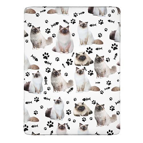  Thicken Four Piece Bed Set Himalayan Cat Microfiber Thicken Bed Sheet Set Four Piece Flat Sheet Wrinkle 4 Piece Bed Linens Comfort And Softness Including 1 Bed Sheet 1 Duvet Cover Multicolor Cal King