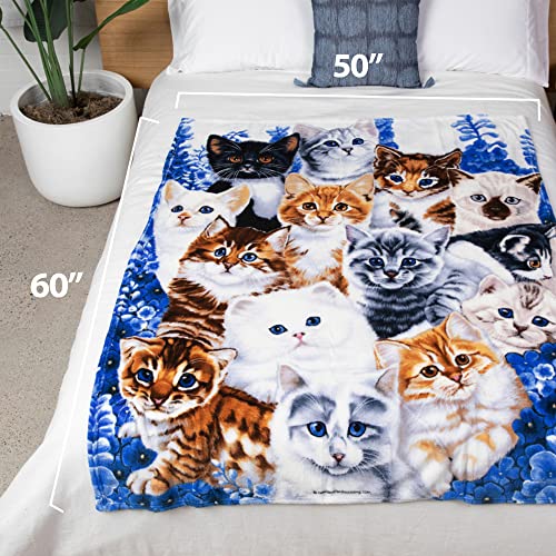  Dawhud Direct Collage Kitten Fleece Blanket For Bed, 50" X 60" Cute Fleece Throw Blanket For Girls, Women, Men And Kids - Super Soft Plush Cat Blankets For Cat Lovers Kitty Cats Print Throws Blankets