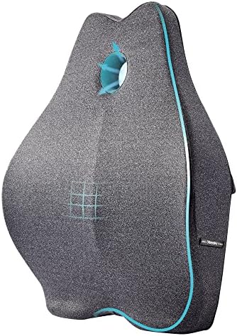  Okayday Ergonomic Lumbar Support Pillow For Office Chair Car Seat Orthopedic Memory Foam Back Cushion With Breathable Mesh Cover, Relieve Back Pain & Improve Posture, Spinal Alignment (Black)