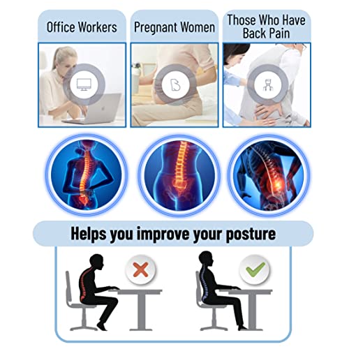  Mr. Pen- Lumbar Support Pillow, Memory Foam Lumbar Pillow, Car Lumbar Support, Office Chair Back Cushion, Chair Pillow, Desk Chair Back Support